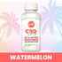 Watermelon CBD Syrup | 1000mg