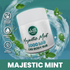 Majestic Mint CBD Body Rub | 2000mg