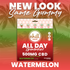 Watermelon CBD Gummies | 500mg | All-Day
